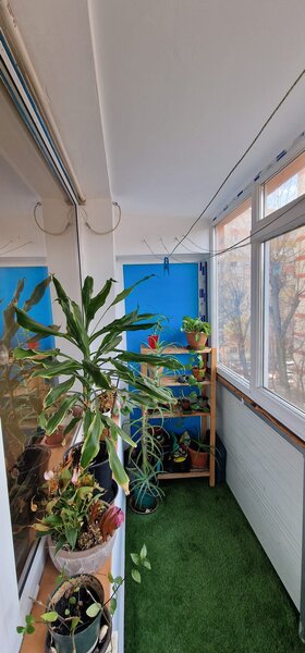 Lacul Tei x Teiul Doamnei langa Parcul Tei,