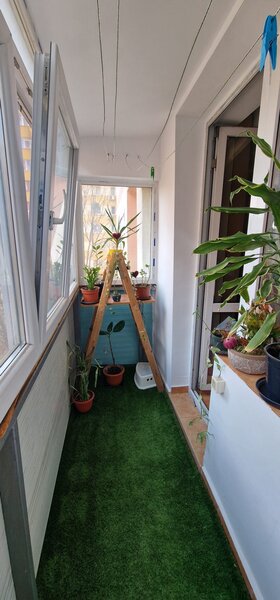 Lacul Tei x Teiul Doamnei langa Parcul Tei,